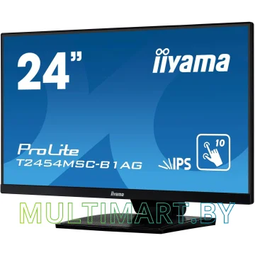 Монитор Iiyama ProLite T2454MSC-B1AG картинка 3